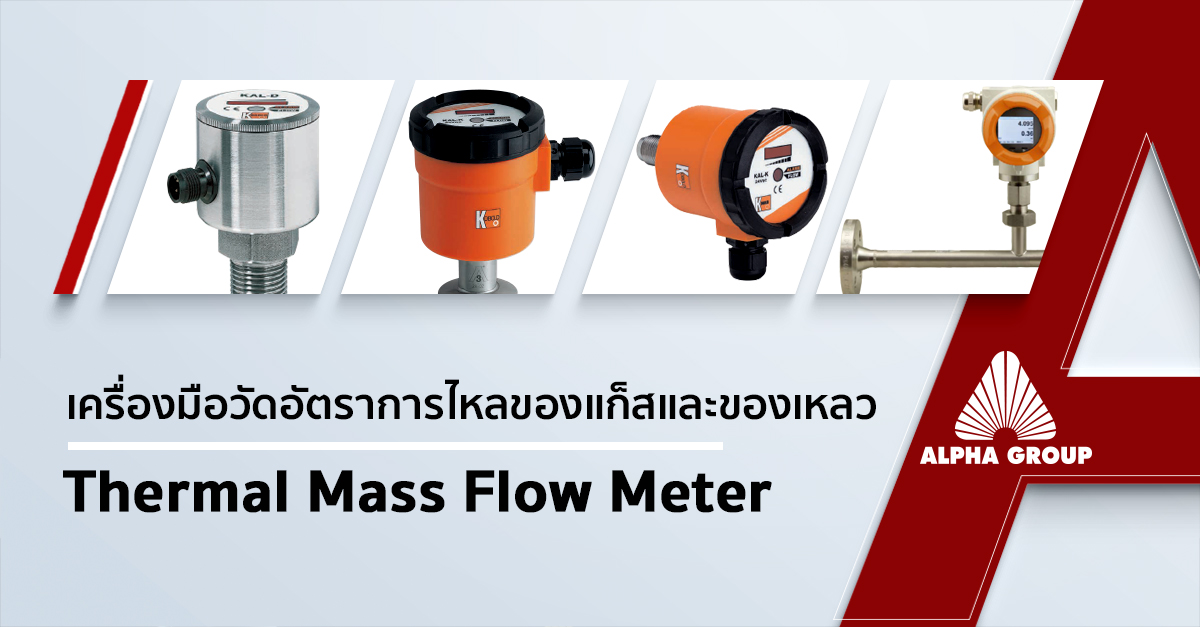 Thermal Mass Flow Meter