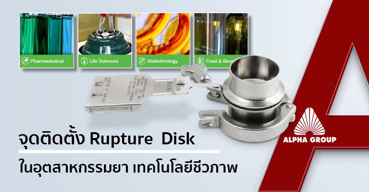 จุดติดตั้ง Rupture Disk