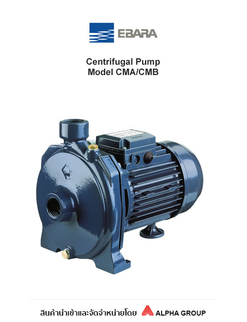 Ebara Close coupled pump