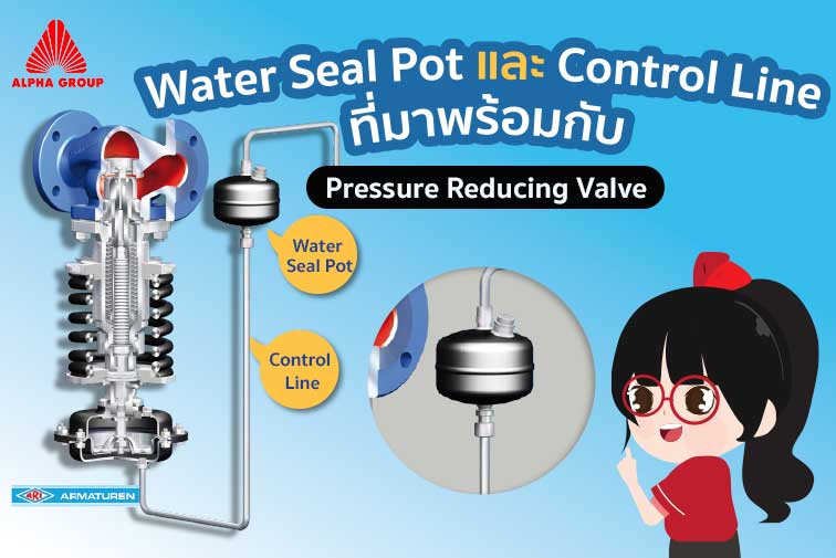 แนะนำการติดตั้ง Water seal pot และ Control line ที่มากับวาล์ว PRV