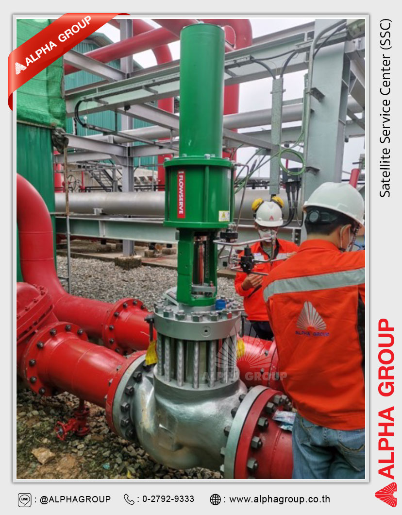 1-control-valve-set Certified Service Center by Flowserve