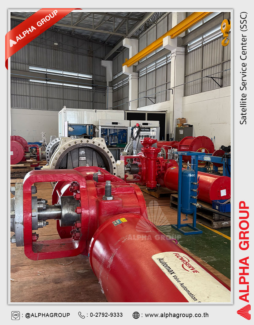 2-butterfly-control-valve Certified Service Center by Flowserve